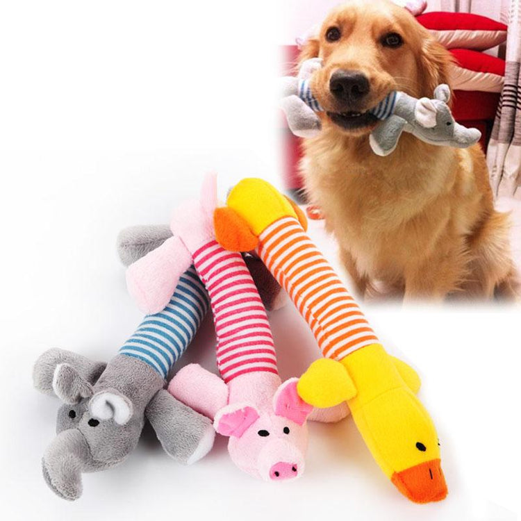 Pet Toys